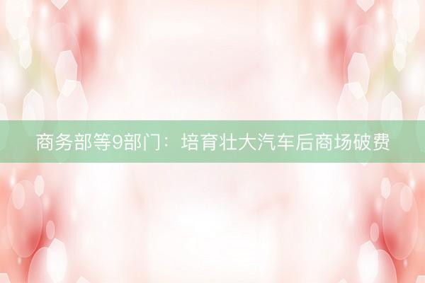 商务部等9部门：培育壮大汽车后商场破费